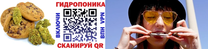 Еда ТГК конопля  OMG сайт  Инсар  как найти закладки 