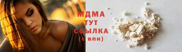 шишки Верея