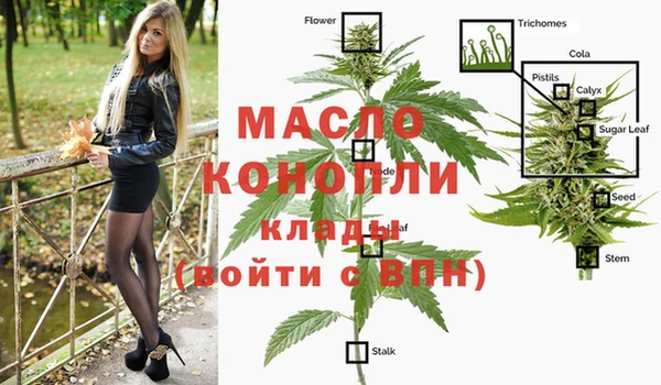 мдпв Волосово