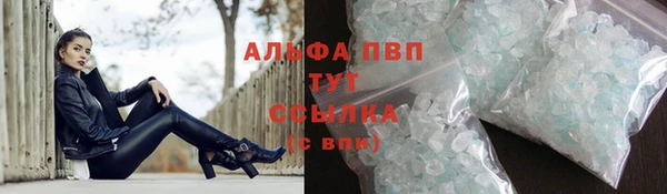 шишки Верея