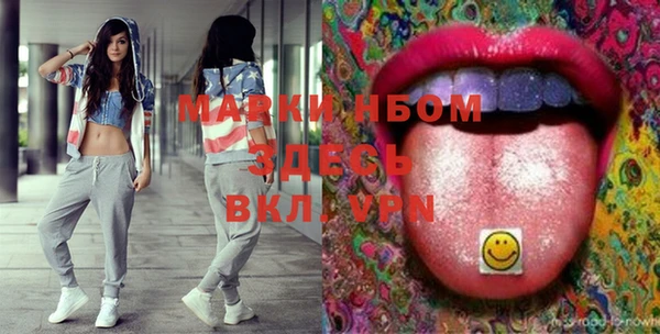 шишки Верея