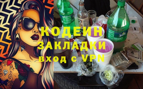 шишки Верея
