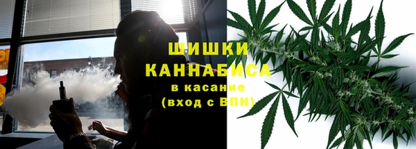 мдпв Волосово