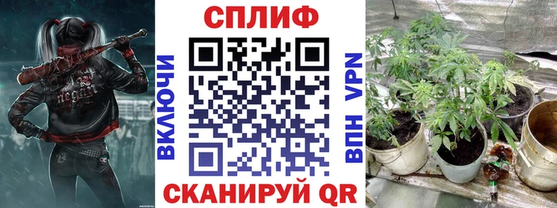 купить   Инсар  МАРИХУАНА семена 